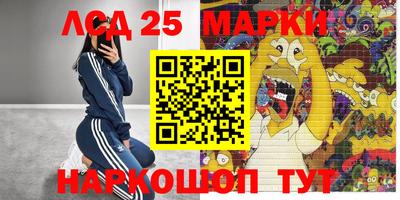 дмт Будённовск