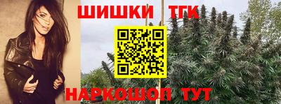 дмт Будённовск