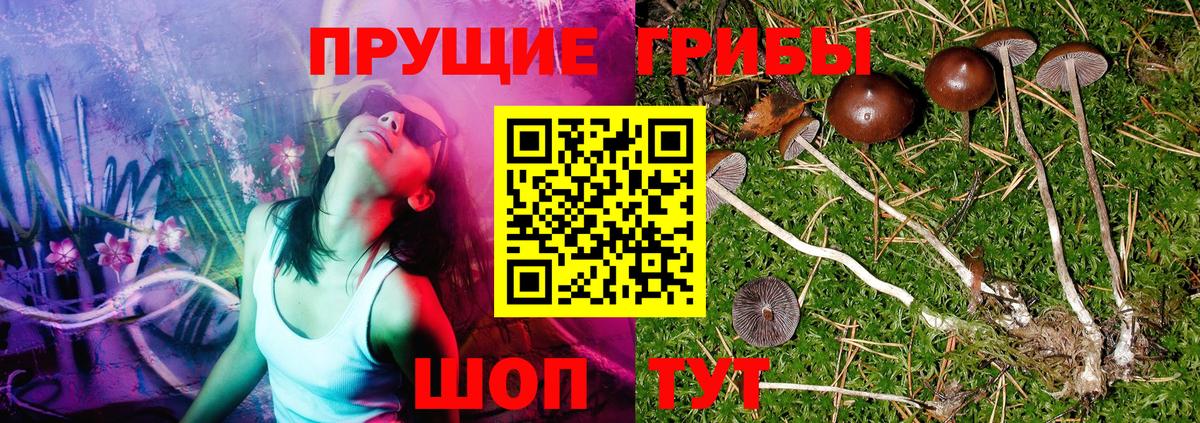 Азов  Псилоцибиновые грибы Psilocybe  Вход с VPN 