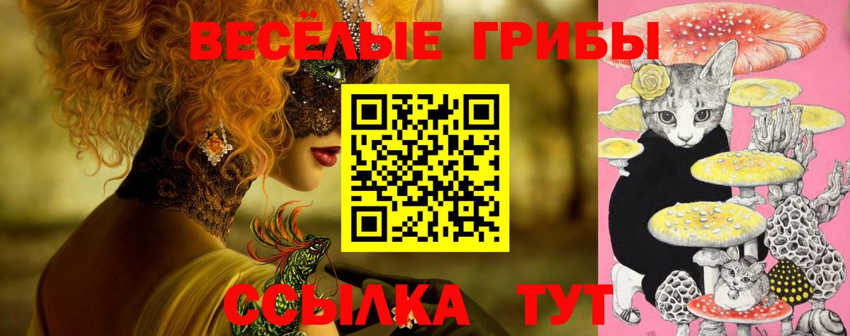 Галлюциногенные грибы Psilocybine cubensis Азов